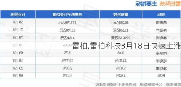 雷柏,雷柏科技3月18日快速上涨