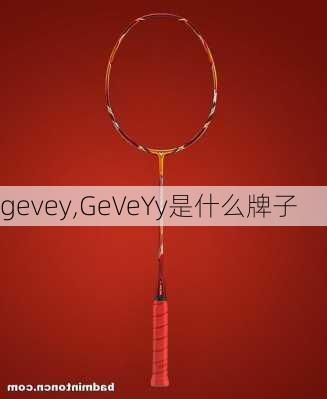 gevey,GeVeYy是什么牌子