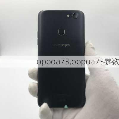 oppoa73,oppoa73参数