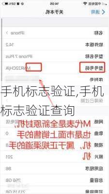手机标志验证,手机标志验证查询