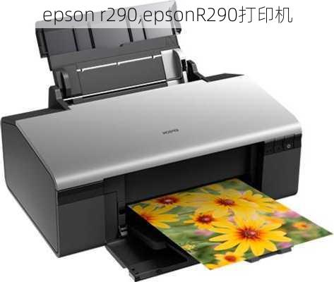 epson r290,epsonR290打印机