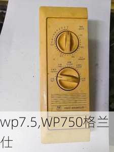 wp7.5,WP750格兰仕