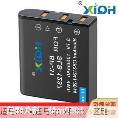 适马dp1x,适马dp1x和dp1s区别