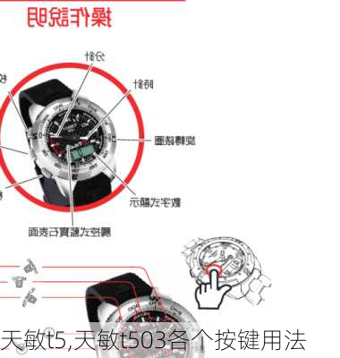 天敏t5,天敏t503各个按键用法