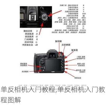 单反相机入门教程,单反相机入门教程图解