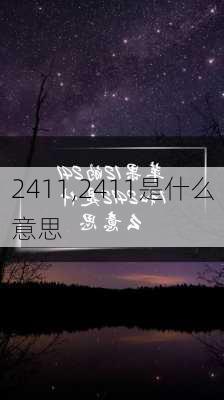 2411,2411是什么意思