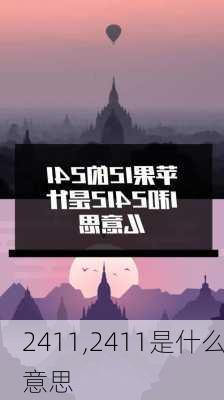 2411,2411是什么意思