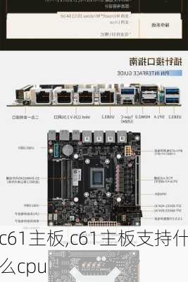 c61主板,c61主板支持什么cpu