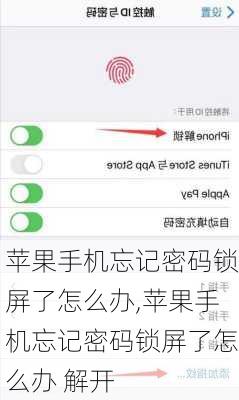 苹果手机忘记密码锁屏了怎么办,苹果手机忘记密码锁屏了怎么办 解开