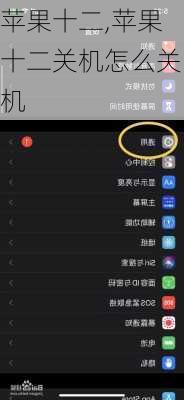 苹果十二,苹果十二关机怎么关机