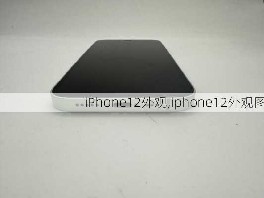 iPhone12外观,iphone12外观图