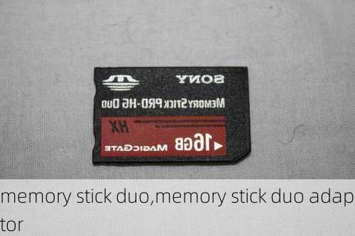 memory stick duo,memory stick duo adaptor