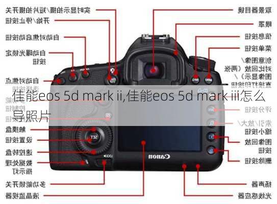 佳能eos 5d mark ii,佳能eos 5d mark iii怎么导照片