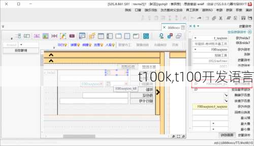 t100k,t100开发语言