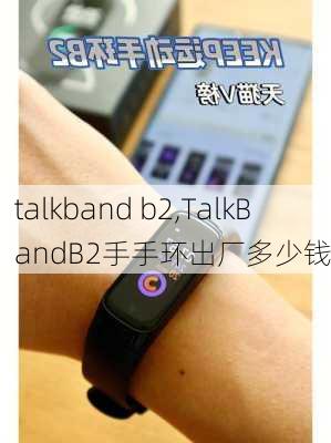 talkband b2,TalkBandB2手手环出厂多少钱