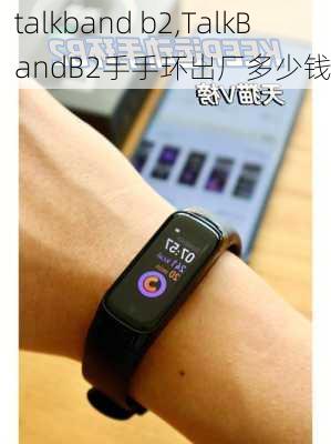 talkband b2,TalkBandB2手手环出厂多少钱