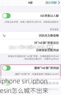 iphone siri,iphonesiri怎么喊不出来