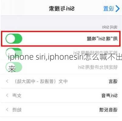 iphone siri,iphonesiri怎么喊不出来