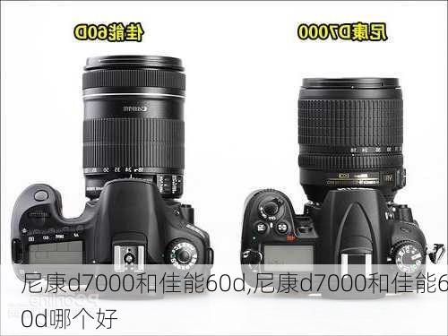 尼康d7000和佳能60d,尼康d7000和佳能60d哪个好