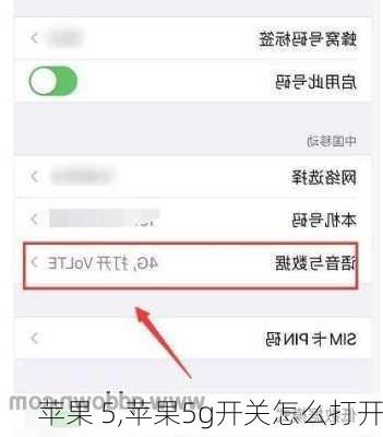 苹果 5,苹果5g开关怎么打开