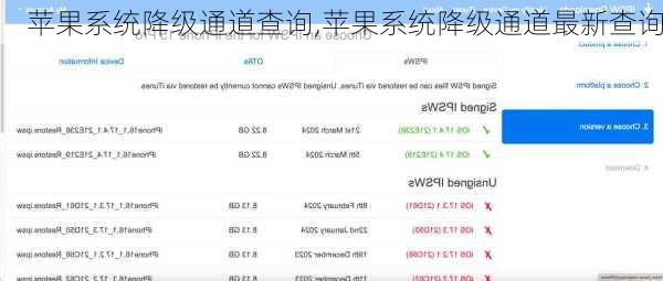 苹果系统降级通道查询,苹果系统降级通道最新查询