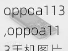 oppoa113,oppoa113手机图片