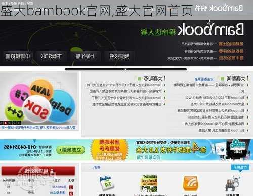 盛大bambook官网,盛大官网首页