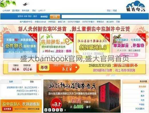 盛大bambook官网,盛大官网首页