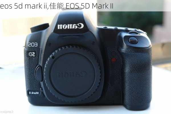 eos 5d mark ii,佳能 EOS 5D Mark II