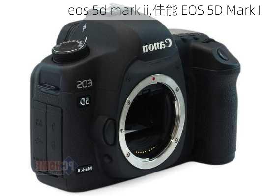 eos 5d mark ii,佳能 EOS 5D Mark II