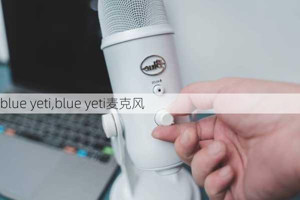 blue yeti,blue yeti麦克风