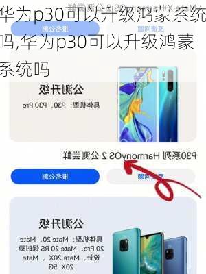 华为p30可以升级鸿蒙系统吗,华为p30可以升级鸿蒙系统吗