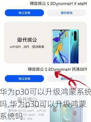 华为p30可以升级鸿蒙系统吗,华为p30可以升级鸿蒙系统吗