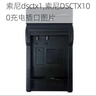 索尼dsctx1,索尼DSCTX100充电插口图片