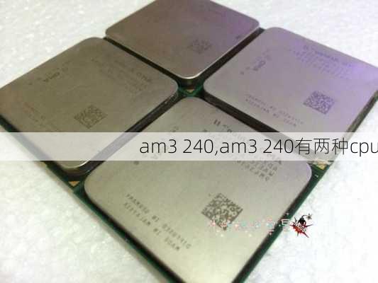 am3 240,am3 240有两种cpu