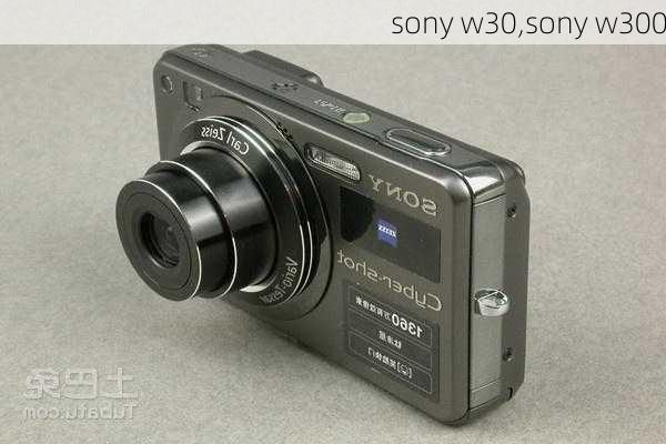 sony w30,sony w300