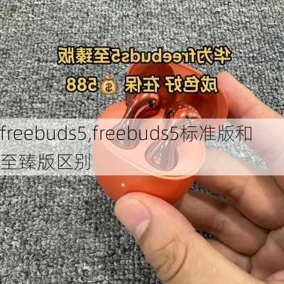 freebuds5,freebuds5标准版和至臻版区别