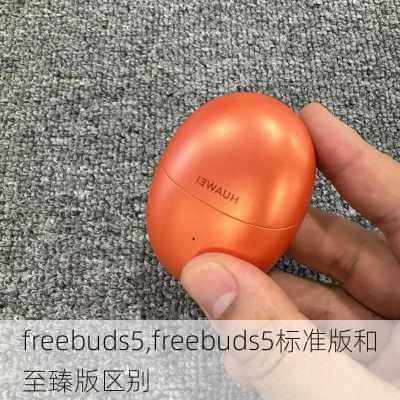 freebuds5,freebuds5标准版和至臻版区别