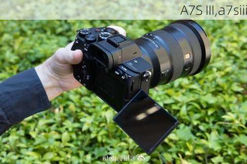 A7S III,a7siii