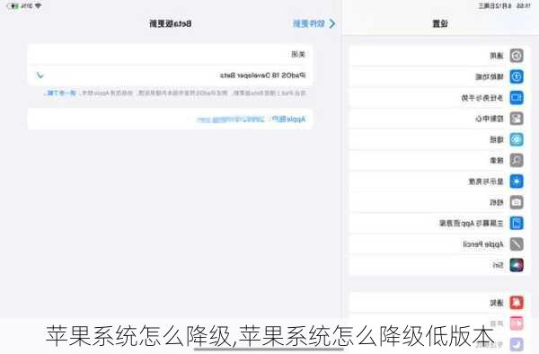 苹果系统怎么降级,苹果系统怎么降级低版本
