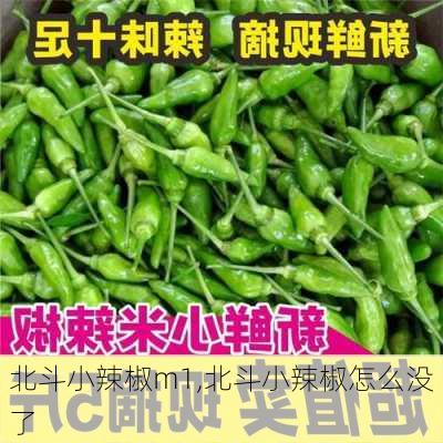 北斗小辣椒m1,北斗小辣椒怎么没了