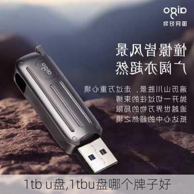 1tb u盘,1tbu盘哪个牌子好