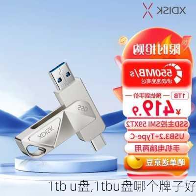 1tb u盘,1tbu盘哪个牌子好