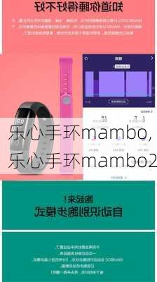 乐心手环mambo,乐心手环mambo2