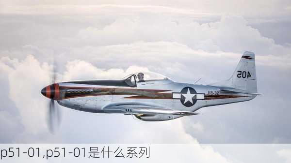 p51-01,p51-01是什么系列