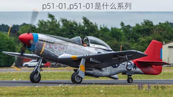 p51-01,p51-01是什么系列