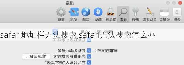 safari地址栏无法搜索,safari无法搜索怎么办