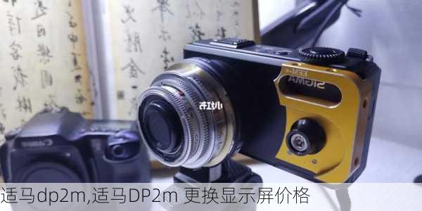 适马dp2m,适马DP2m 更换显示屏价格