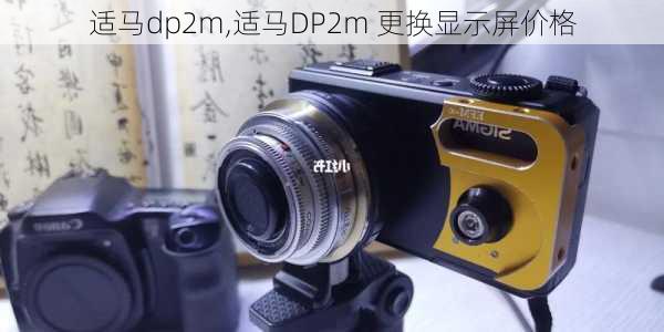 适马dp2m,适马DP2m 更换显示屏价格