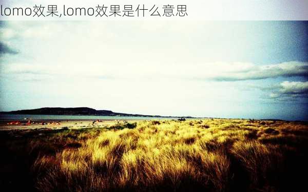 lomo效果,lomo效果是什么意思